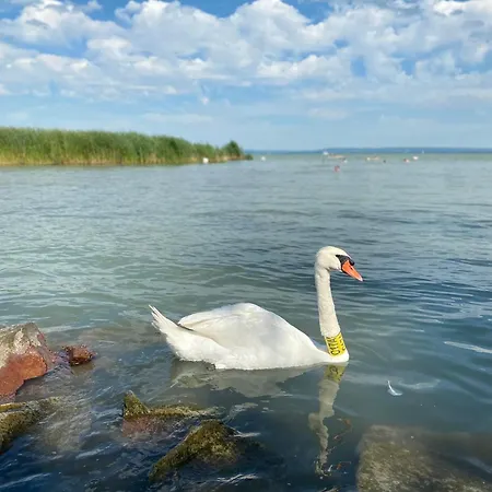 Сasa de vacaciones Panna *
